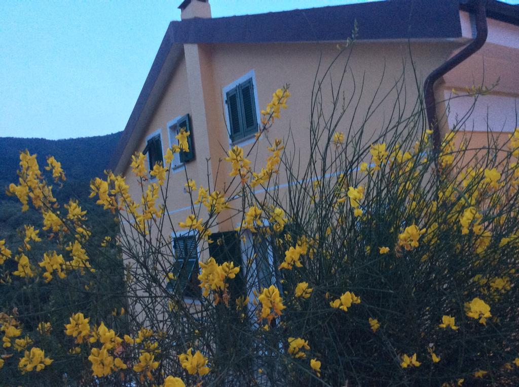 Ca Di Giaco Apartment Moneglia Bagian luar foto